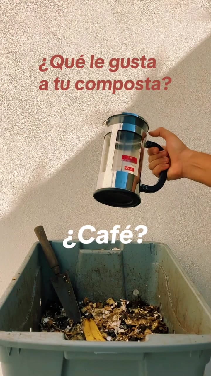 A tu composta le encanta el café